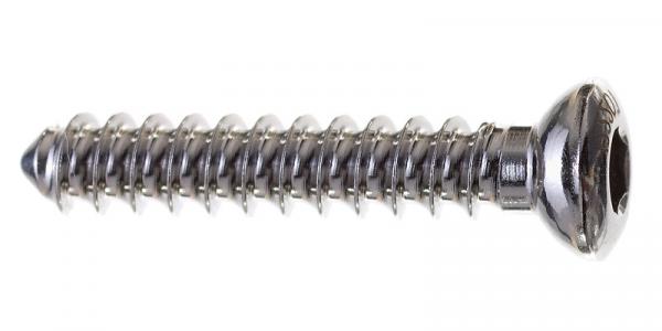 Cortical screw: diameter 3.5 x 38