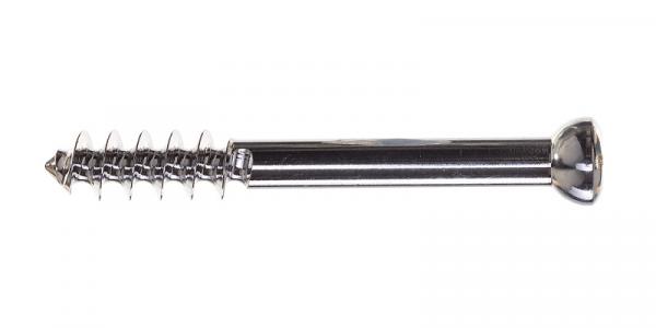 Cancellous screw: diameter 6.5 x 30